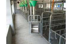 自動化料線規格與萬晟畜牧設備售后保證的全面解析