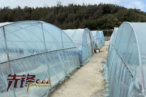 重拳出擊水產投入品法律雷區 福建嚴查畜牧漁業飼料銷售