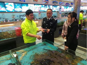 高明區(qū)農林漁業(yè)局畜牧漁業(yè)飼料銷售工作滿意度調查報告