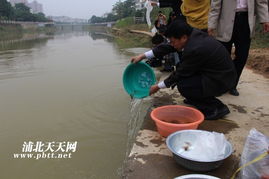 生態修復，漁業振興——浦北縣水產畜牧獸醫局成功舉辦漁業資源人工增殖放流活動