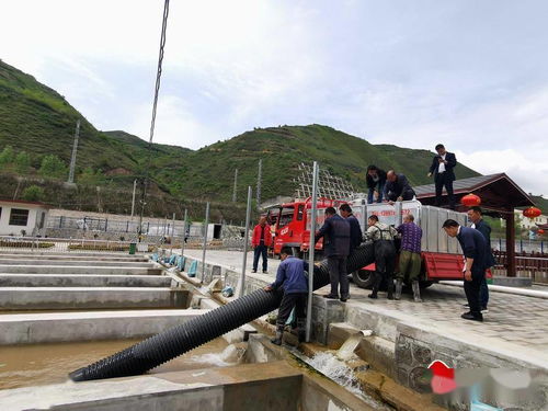 市漁業站引進新品種傳授新技術，助推畜牧漁業飼料銷售新格局