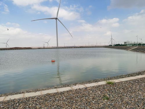 智慧漁業 水質監測守護藍色生態，協同飼料銷售驅動產業升級